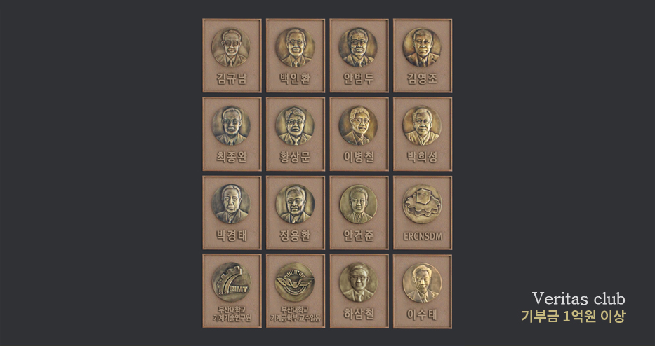 Veritas club